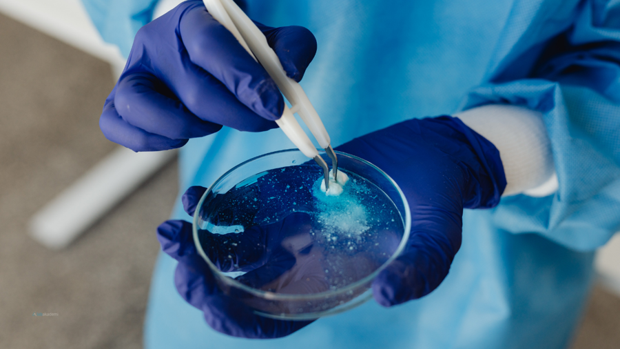 Kozmetikte Kritik Patojen Analizi: ISO 22718 ve Staphylococcus aureus Aranması